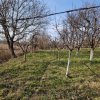 Teren - Roman -Trifesti - ieșire la lac - livada pe rod imaginea mica 5 Teren - Roman -Trifesti - ieșire la lac - livada pe rod thumb 5