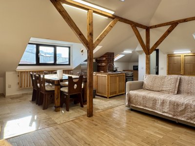 Loft Atipic | Luminos | Centrala Proprie | Terasă | Str. Agricultori