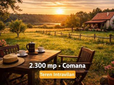 Teren intravilan Comana 2300 mp Front 12,5 m Comision 0%