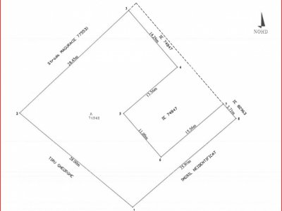 TARTASESTI, LOT 801 MP!