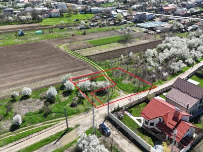 TARTASESTI, LOT 801 MP!