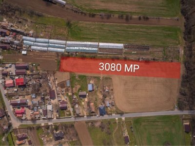 NUCI - BALTA NEAGRA, LOT 3080 MP, LA PADURE!