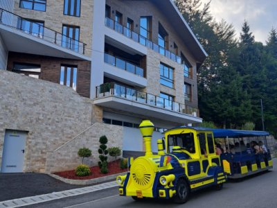 VAND PENTHOUSE 280 MP IN VILA + GARAJ LUX IN SINAIA PH COTA 1400