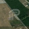 BALOTESTI - EDENLAND -  ideal investitie - Teren 5.254 mp, lângă pădure thumb 3