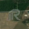 BALOTESTI - EDENLAND -  ideal investitie - Teren 5.254 mp, lângă pădure thumb 4