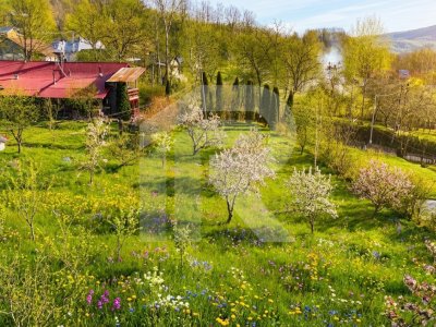 Teren intravilan Slanic Prahova