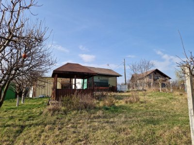 Teren - Roman  -Trifesti - ieșire la lac - livada pe rod