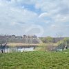Ideal Teren intravilan Buftea – deschidere directă la lac | 883 mp | Utilități | thumb 4