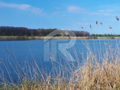 Teren intravilan de vânzare – Grădiștea, Ilfov, Aleea Primăriei