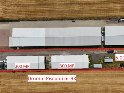 CIOLPANI, LOT 5.000 MP, HALE INDUSTRIALE!
