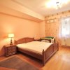 DOROBANTI-TUDOR STEFAN, APARTAMENT ELEGANT, SINGUR PE NIVEL, 123MP, LIVING 42MP! thumb 8