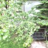 TELEVIZIUNE-ZAMBACCIAN, APARTAMENT 4 CAMERE IN VILA, 134 MP, 0% COMISION! thumb 12