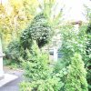DOROBANTI-CAPITALE STRADA WASHINGTON, APARTAMENT IN VILA, 0% COMISION! thumb 31