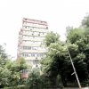 COLENTINA-TEIUL DOAMNEI, DECOMANDAT, RENOVAT, NEMOBILAT! thumb 12