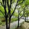 3 CAMERE I TIMPURI NOI-TINERETULUI I LOCAȚIA PERFECTĂ I Etaj 1 - BL.1995 thumb 18