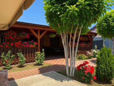 Casă solidă, complet renovată, cu terasă generoasă – Bolintin Vale