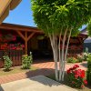 Casă solidă, complet renovată, cu terasă generoasă – Bolintin Vale thumb 1