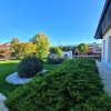 Vila Exclusivista Domnesti - Ilfov thumb 13