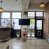 Vila modernă în Cernica – 4 camere, teren 331 mp, pret super! thumb 15