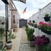 Vila modernă în Cernica – 4 camere, teren 331 mp, pret super! thumb 24