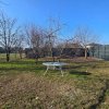 Prima inchiriere - vila + 500 mp teren - Vadul Anei, Branesti thumb 2