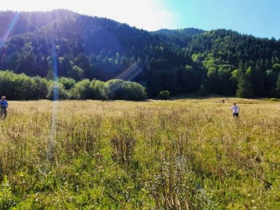 Teren Intravilan | Schitu Tarcău | 2089MP | Izvor | Platou