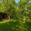 Mountain Chalet | Private Resort | Investment - Nistoresti thumb 3