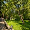 Mountain Chalet | Private Resort | Investment - Nistoresti thumb 4