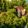 Mountain Chalet | Private Resort | Investment - Nistoresti thumb 8