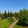 Oportunitate Rară în Ciorogârla– 8.000 mp Teren | Dublu Acces Asfaltat thumb 7