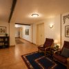 Oportunitate Rară în Ciorogârla– 8.000 mp Teren | Dublu Acces Asfaltat thumb 14