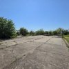 Oportunitate Rară în Ciorogârla– 8.000 mp Teren | Dublu Acces Asfaltat thumb 16
