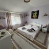 Exclusivitate! Vila P+M inalta, 5 camere, placa beton, Valu lui Traian! thumb 10
