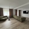 Exclusivitate! Vila D+P+M, 6 camere, partial mobilata, utilata, Valu lui Traian! thumb 8