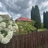SURDESTI BREAZA, CASUTA CU 3120 MP TEREN thumb 8