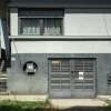 O vila cu prestanta, in Cismigiu thumb 39