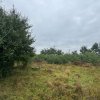 Vanzare 10.000 mp teren Liteni Suceava- la strada -potrivit proiect fonduri thumb 5
