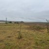Vanzare 10.000 mp teren Liteni Suceava- la strada -potrivit proiect fonduri thumb 9