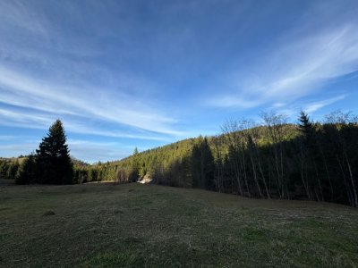 Vanzare 6850 mp pasune langa Manastirea Doroteia - Frasin /Plutonita