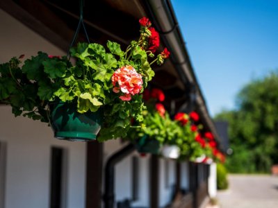 Vanzare - investitie la cheie - pensiune Voronet 8 camere 2023 - totul nou!