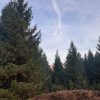 Vanzare 5,3 ha pasune deasupra Voronetului Suceava - Proiect Turistic imaginea mica 16 Vanzare 5,3 ha pasune deasupra Voronetului Suceava - Proiect Turistic thumb 16