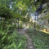 Proprietate unica la Grădina Icoanei thumb 14