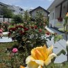 VILA 4 DORMITOARE/LIFESTYLE/VEDERE LAC thumb 65