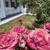 VILA 4 DORMITOARE/LIFESTYLE/VEDERE LAC thumb 67