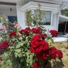 VILA UNICA LAC LEBADA thumb 57