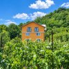 VAND O VILA IN PADUREA DIN FILIPESTI thumb 15