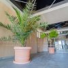 OFERTA SPECIALA!!!  Mamaia Nord - Vânzare apartament 2 camere finisat. thumb 12