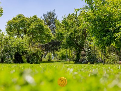 OCAZIE UNICA  Doua case pe malul lacului, intr o curte comuna   Budeasa Mare