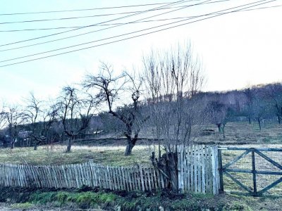 Teren intravilan/extravilan com Draganu la 14 km de Auchan Gavana