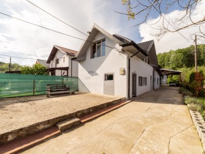 Oază de liniște la marginea pădurii – Proprietate de vânzare în Bascov!